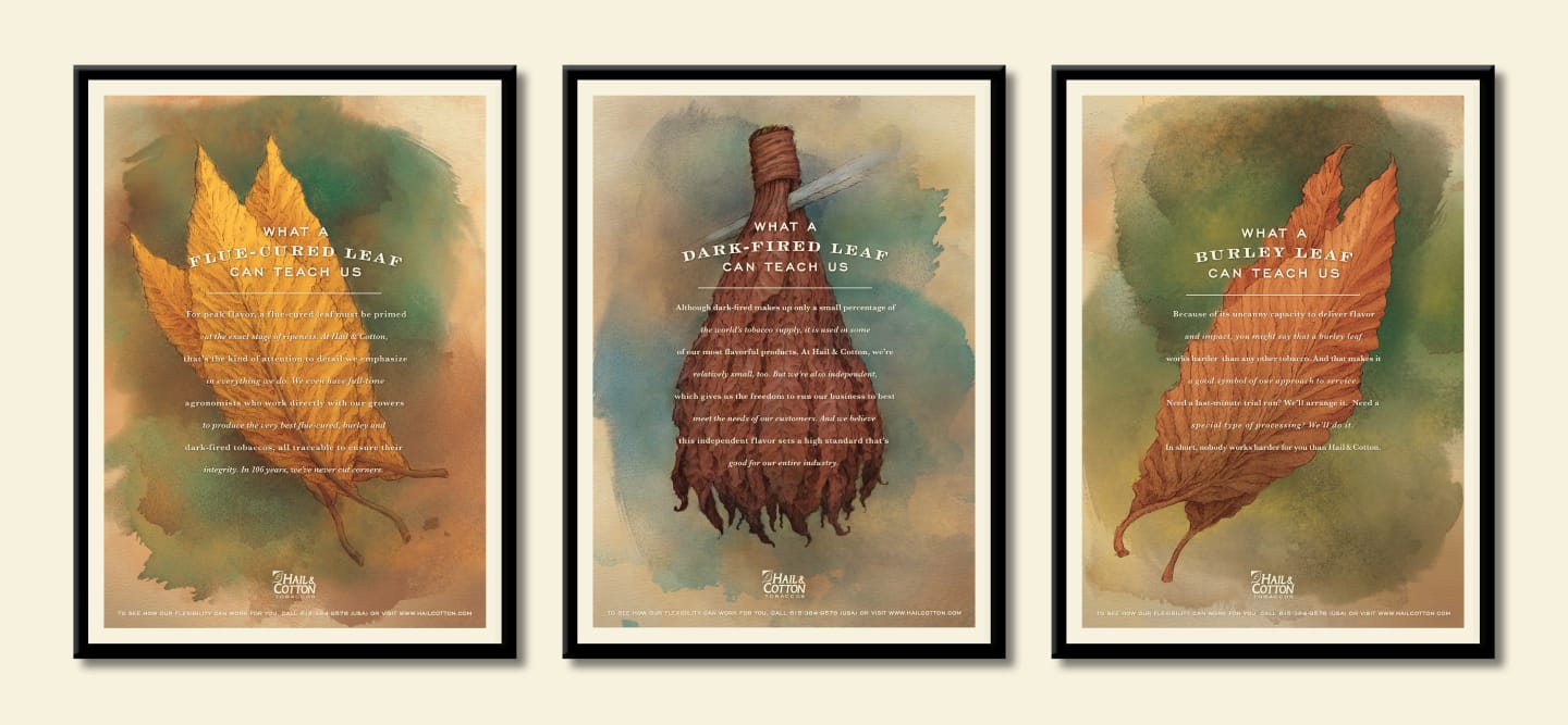Hail & Cotton posters showing tobacco leaves done in watercolor